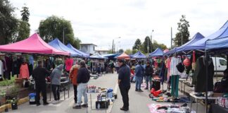Feria Barrio Industrial comenzará a operar bajo nueva ordenanza en junio